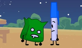 Penbag