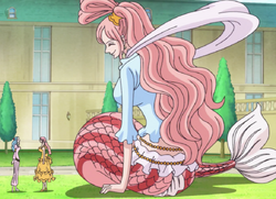 Luffy Harem Shipping Wiki Fandom Luffy Harem Shipping Wiki Fandom