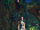 EW Haladriel Digital Cover.gif