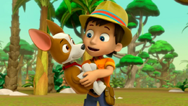 Jungle Rescue