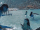 AonungteachingNeteyam.gif