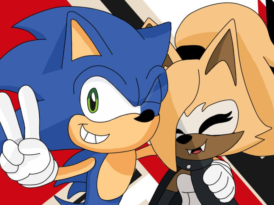 Why do some of the Sonic fans ship Sonic and Shadow? It doesn't