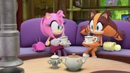 SonicBoom Amy&Sticks tea