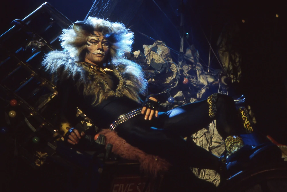 Rum Tum Tugger Shipping Wiki Fandom