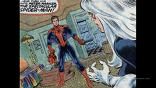 Spider-Man reveals his identity to the Black Cat