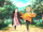 Zenitsu's dream movie 3.gif