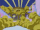 Sonamy