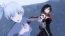 White Rose Shipping Wiki Fandom