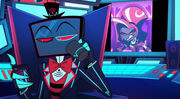 Vox unaffected by Velvette
