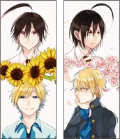 SanoHaru Volume 7 Flaps