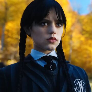 Wednesday Addams, Wednesday Wiki