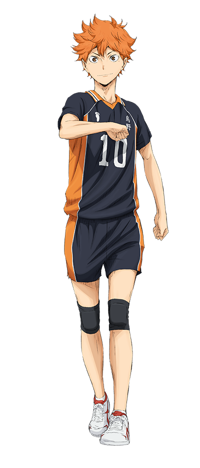 Hinata Shouyou, Wiki