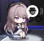 Simulated Universe: Unknowable Domain Special Program