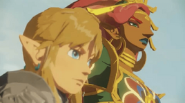 Linkbosa
