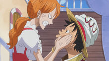Nami tells Luffy not to cook again