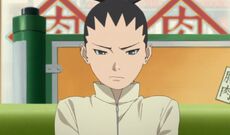 Shikadai