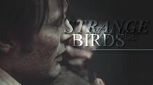 Will & hannibal strange birds