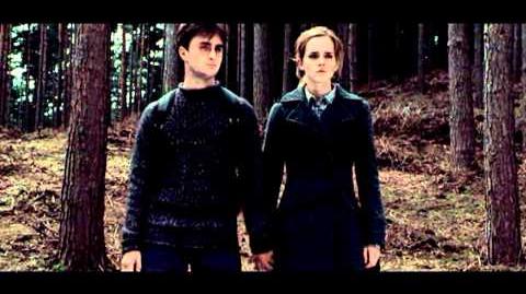 All I Want Harry & Hermione