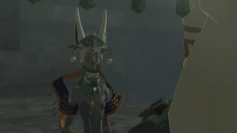 Zonai Siblings