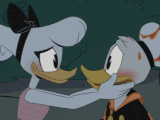 DonDaisy