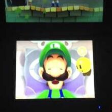 Mario Brothers Shipping Wiki Fandom