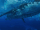 Aonunete3.gif