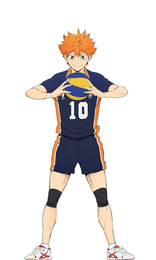 Hinata Shouyou, Wiki