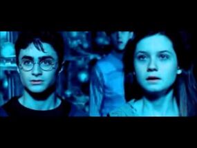 Harry and Ginny- A Thousand Years