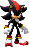 Shadow the Hedgehog, Shipping Wiki