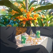 An image from Season 2's ending, depicting Gojo and Geto with Osmanthus flowers (a traditional symbol of love in Japan)