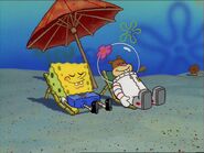 Spongebob and Sandy at Goo Lagoon