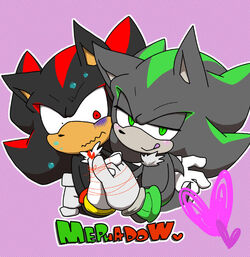 Shadow the Hedgehog  Shipping+BreezeWiki