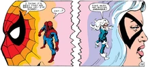 Black-cat-spidey-break-up