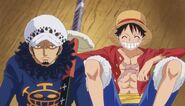 Luffy & Law on the Sunny
