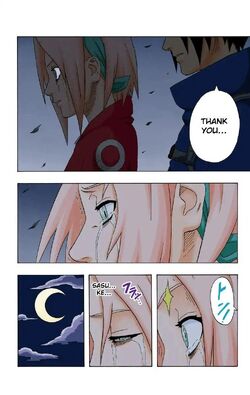 SasuSaku, Shipping Wiki