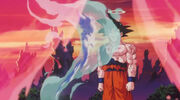 Vegeta disappeared