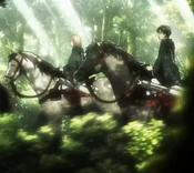 Levi & Petra riding together