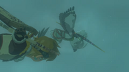 Link and Tulin