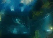 LoakSpiderunderwater.gif (5.21 MB) Lo'ak giving Spider directions