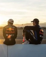 Chestappen3.jpg (10 KB)