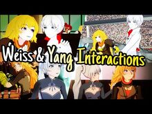 Weiss and Yang Interactions RWBY Volumes 1-7