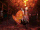 Zenitsu saving Nezuko 2.gif