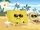 Spongewood