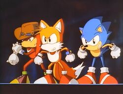 Team Sonic, Shipping Wiki