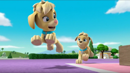 Mighty Twins