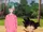 BulmaAndGokuWatchRoshiSummonNimbus.webp