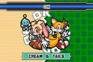 SonicAdvance3 Cream&Tails