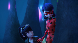 Feibug