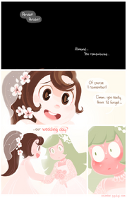 Almidot Wedding