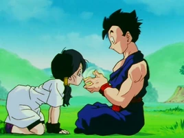 Gohan and Videl